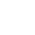 White Škoda logo