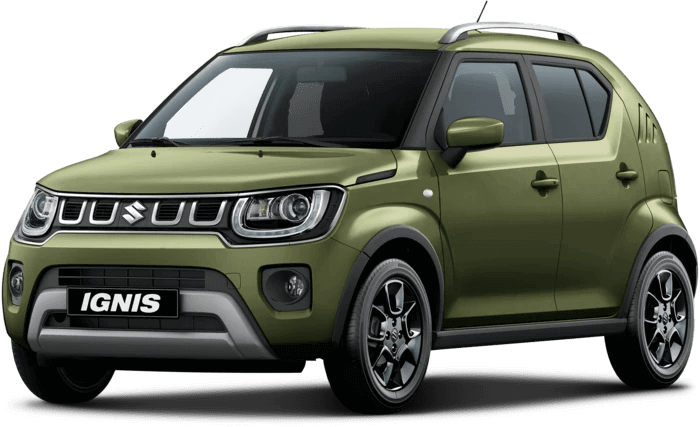 Suzuki finished in Khaki Pearl Metallic