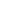 White Nissan logo