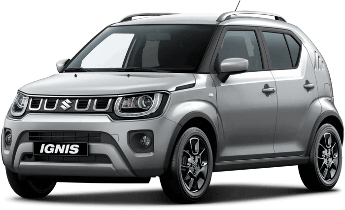 Suzuki finished in Premium Silver Metallic